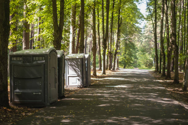 Portable Toilet Options We Offer in La Grulla, TX